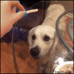 Pure evil