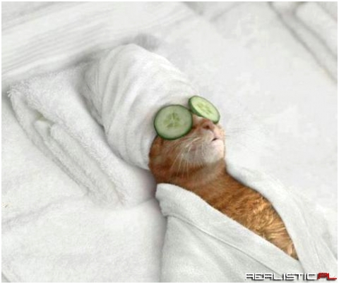Relax
