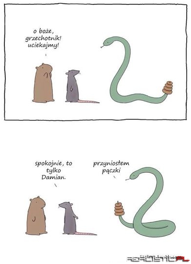 Spokojnie