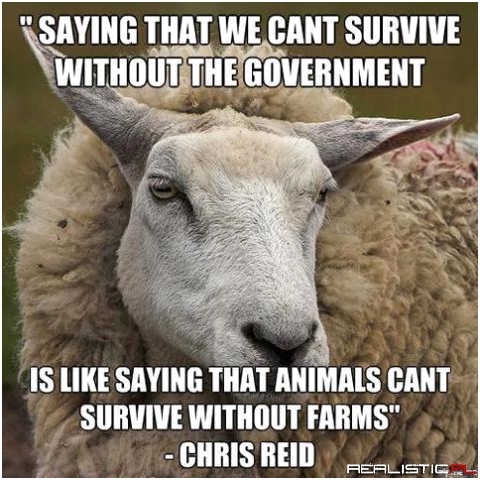 Survive