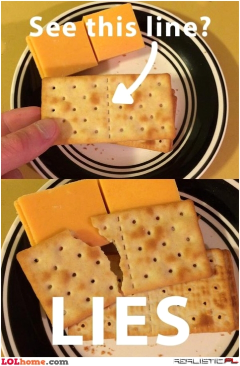The biscuit line