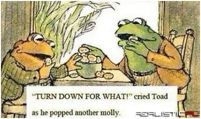 Toad sure knew how to party