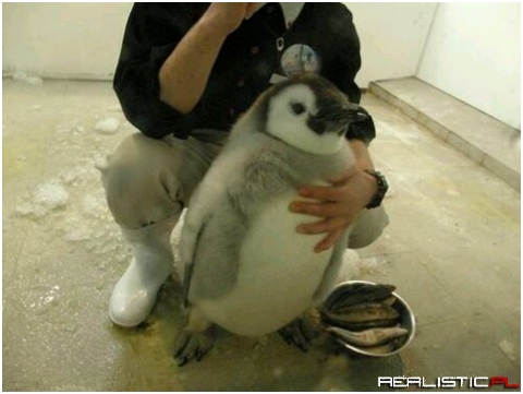 u lucky he holdin me back bitch