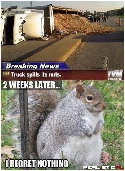 When life gives you nuts.....