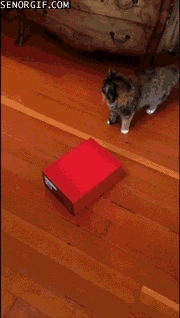 WTF