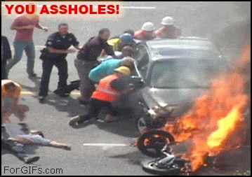 You assholes