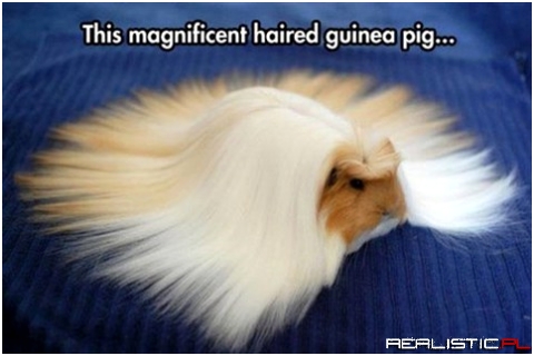 Your Good Hair Days Are Never THIS Good