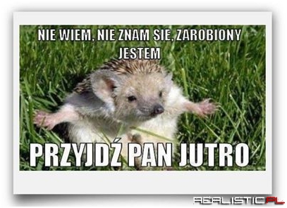 Zarobiony jestem
