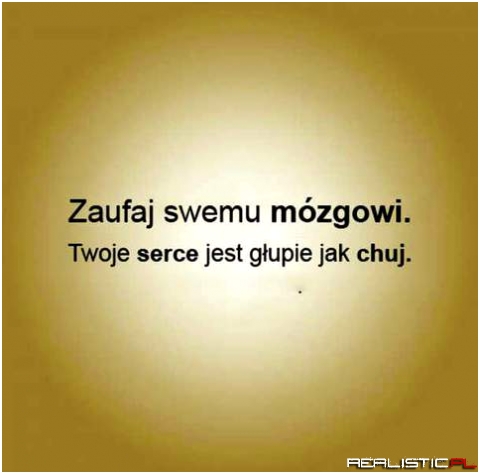 Zaufaj mózgowi