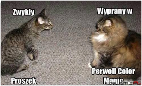 A jednak działa