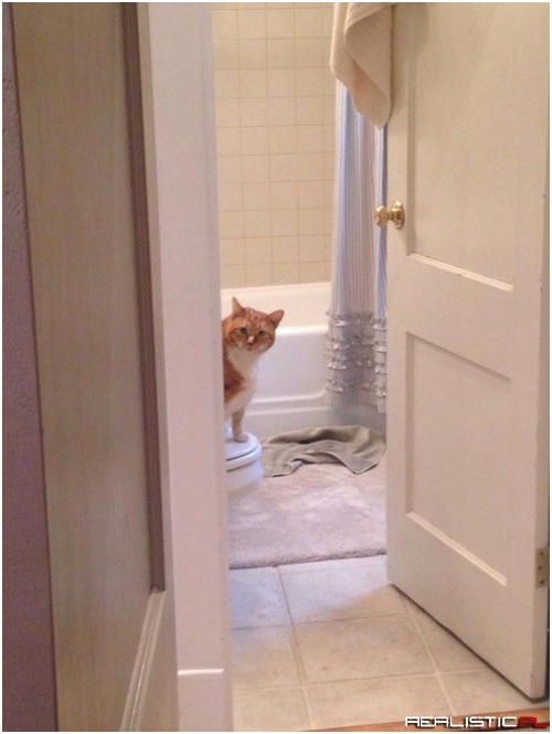 A Little Privacy Please