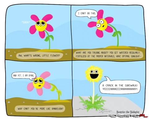 All of you will appreciate this