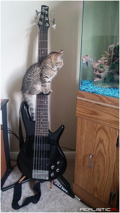 An Expert at Bass Fishing