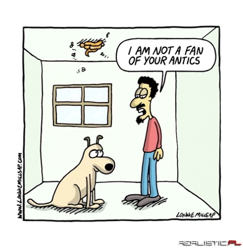 Anti-Antics