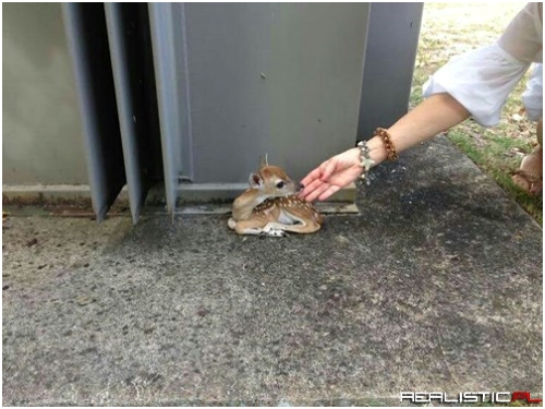 Are You a Friendly Hand