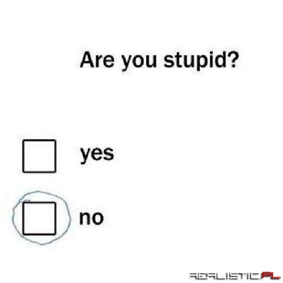 Are you stupid