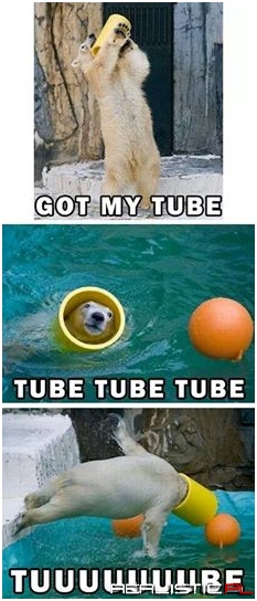 Aw yiss....motha.... fucking....tube.