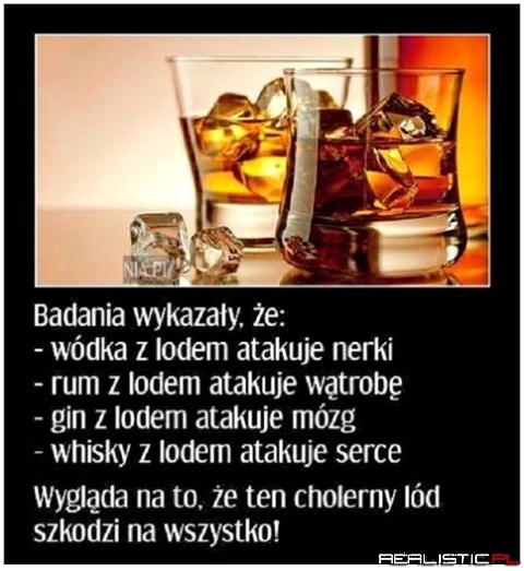 Badania wykazały...