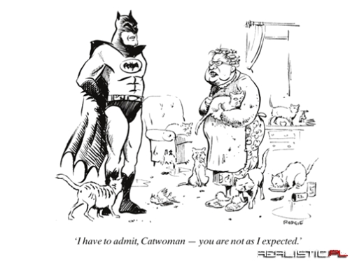 Batman Meets Catwoman