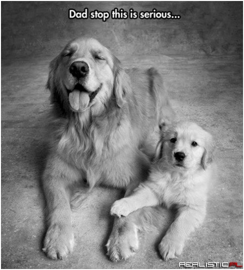 Be Cool, Dad! My Friends are Here!