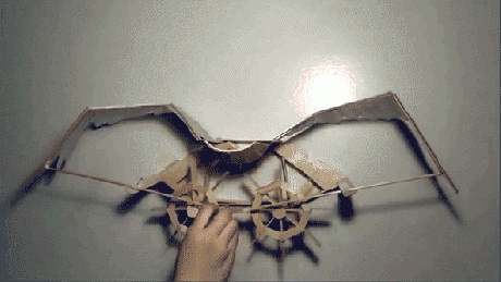 Bird motion