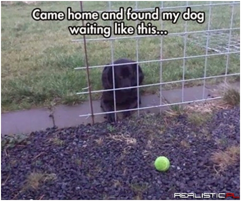 Came home...