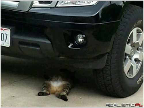 Can Somebody Hand me a Monkey Wrench