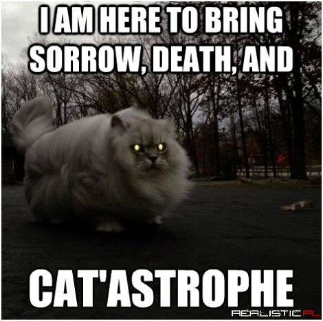 Catastrophe