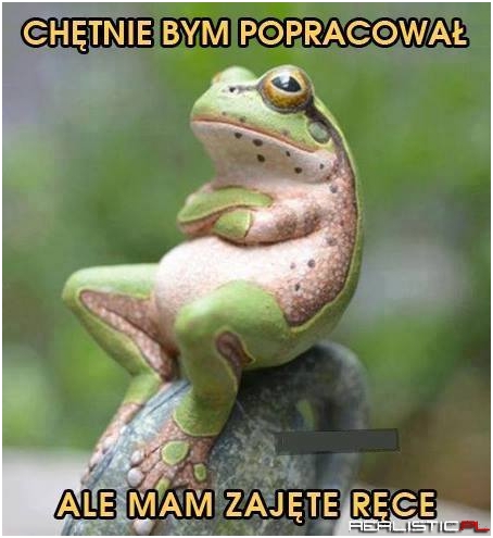 Chętnie bym popracował ...