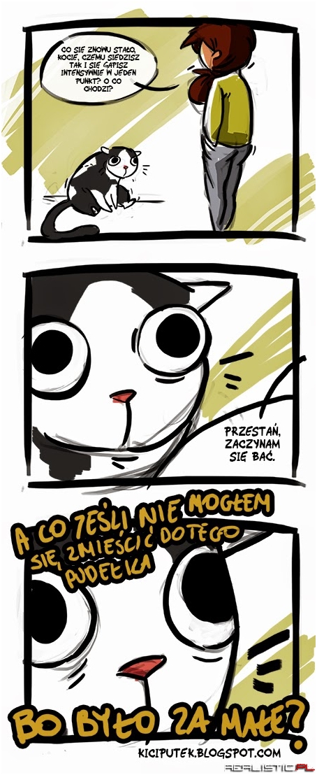 Co sie stało kocie