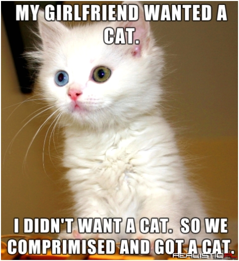 Comprimised