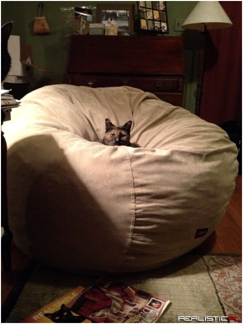 Dis Mine Now