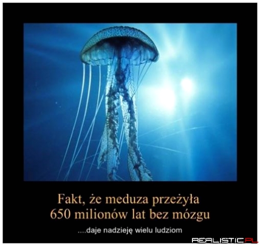 Dobra wiadomość