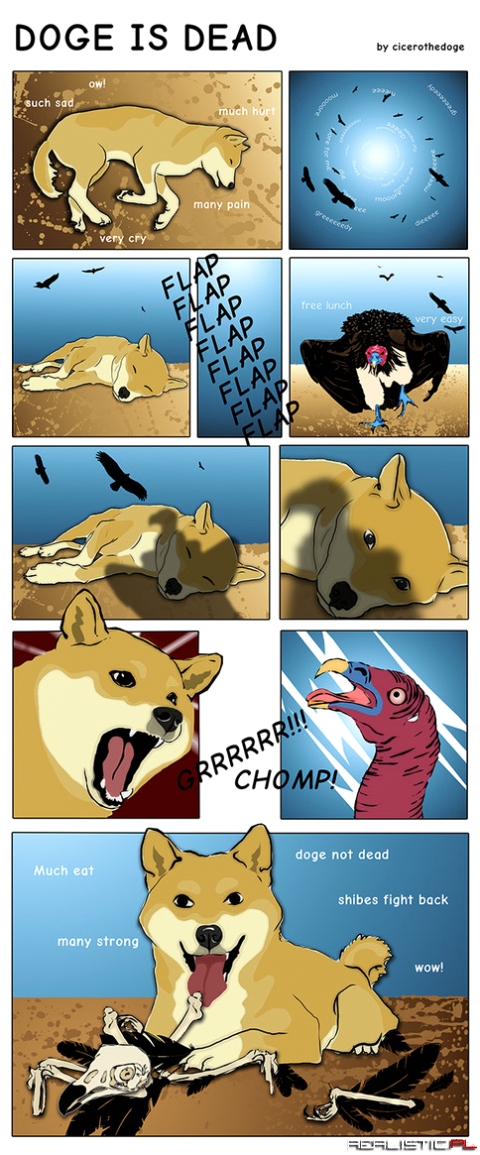 Doge is dead