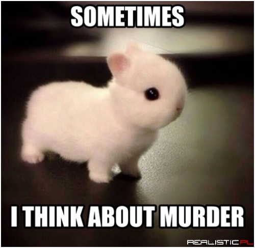 Don't Trust That Fluff