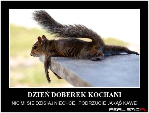 Dzień dobry