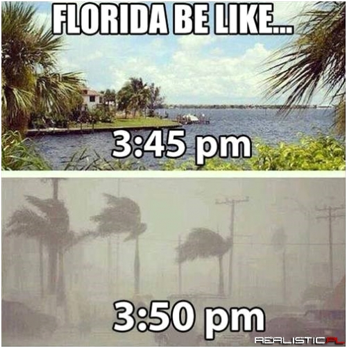Florida - The Redheaded Stepchild State