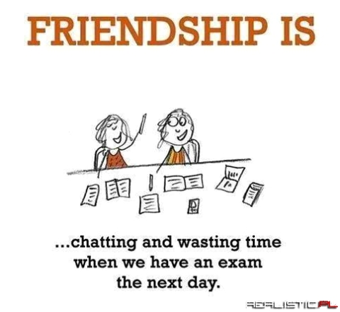 Friendship