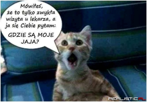 Gdzie są moje jaja