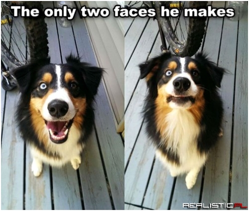Gimme That Treat!