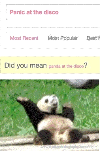 Happy panda