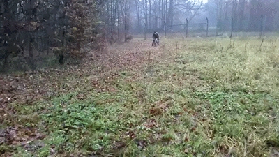 Have a Nice Trip, Bud