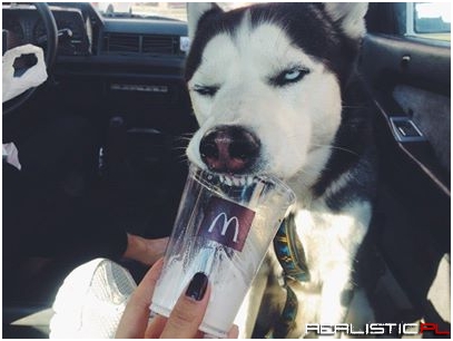 He likes ice-cream sooo much..