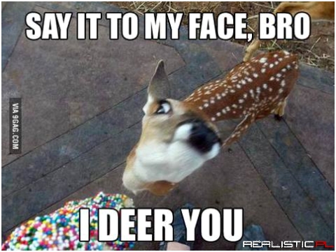 I deer you