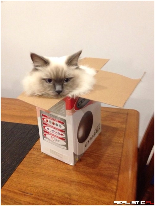 I Fits, I Squeezes