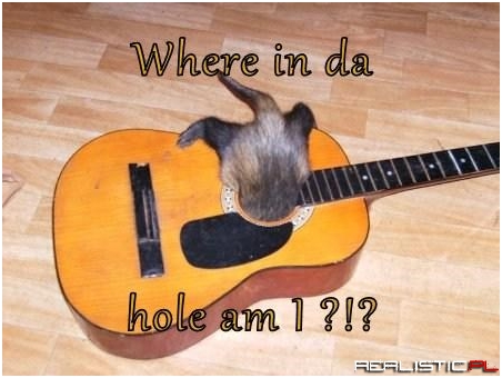 I Hate it When I Lose My Pick!