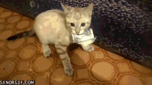 I Need This for My Nip!