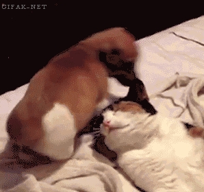 I Think I'll Sit Right...HERE!