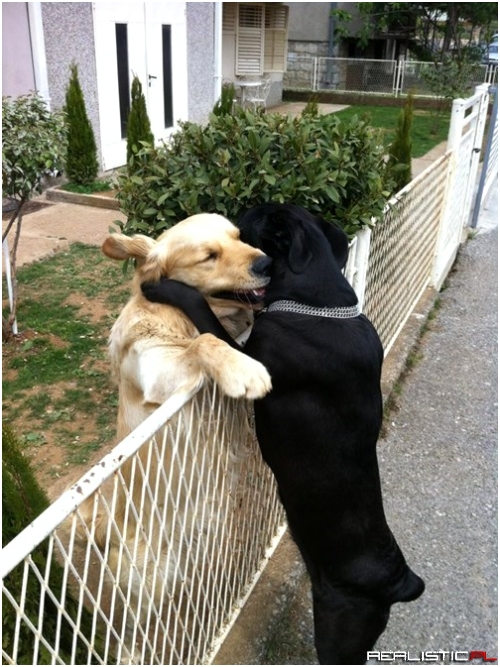 I'll be Home in Time for Dinner, Honey