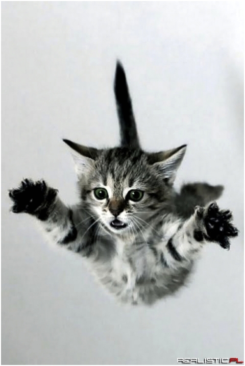 Im flyaing
